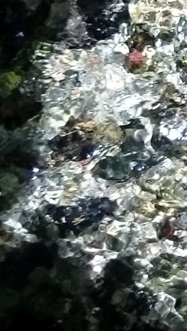 Wasser-Resonanz 3 DSC_1055