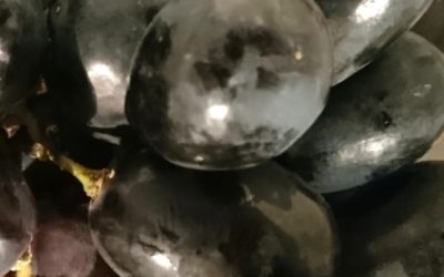 Die Magie von Dienstleistungen durch Coolspot-Management® entfalten