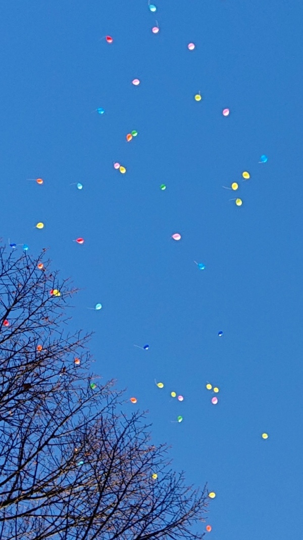 Ballons im Raum #2 DSC_7348 Voll im Leben