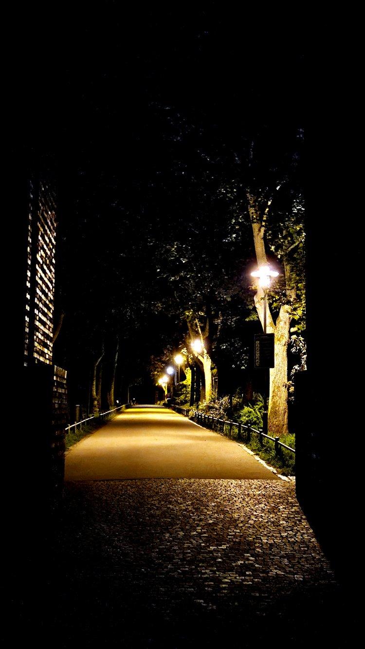 Weg mit Licht 20260519_225330 Was auch zu Grozügigkeit gehört